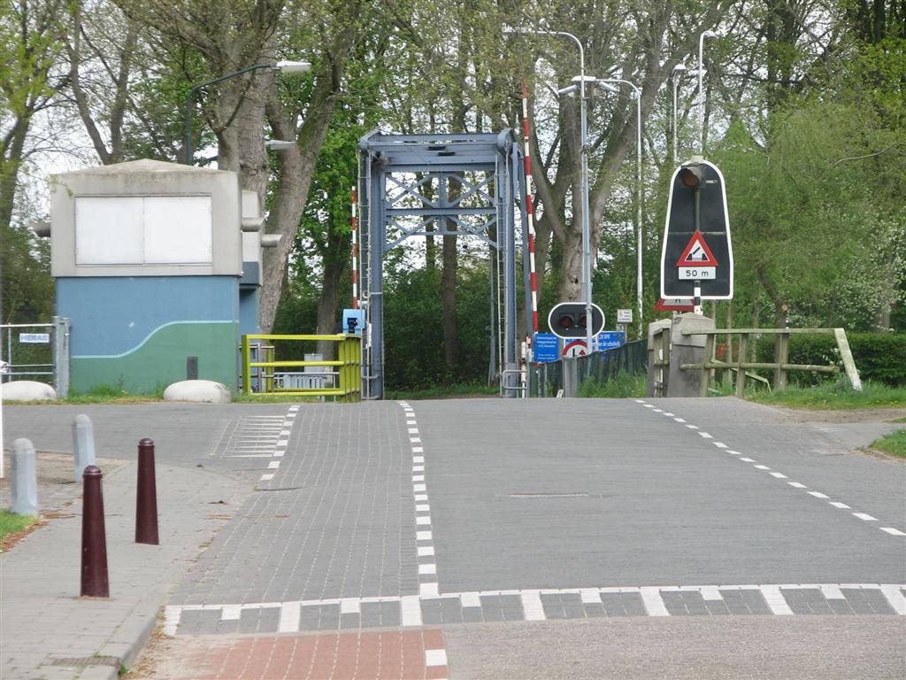 IMG_9834 (Large).jpg